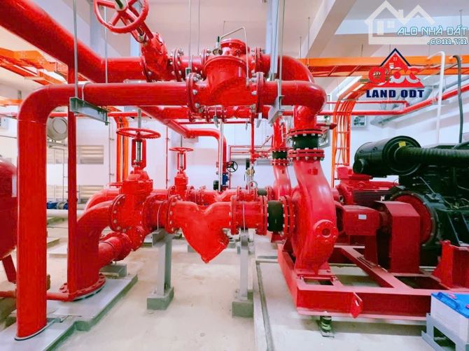 XT001 Cho thuê Xưởng XD mới 100% Hạng A Quốc Tế Pccc Sprinkler tự động Giá tốt KCN Nhơn Tr - 2
