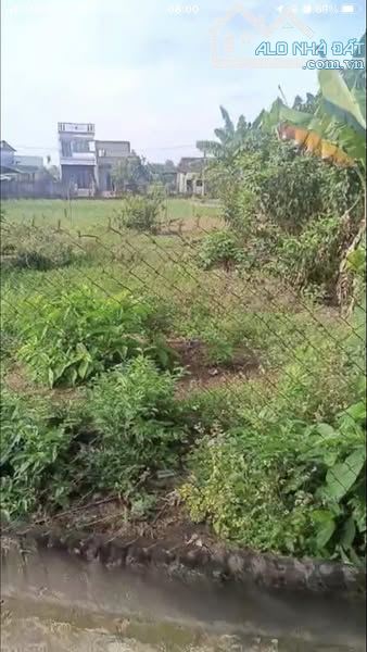 ĐẤT PHONG NIÊN HẠ - TỊNH PHONG GẦN KCN VSIP QUẢNG NGÃI - 2
