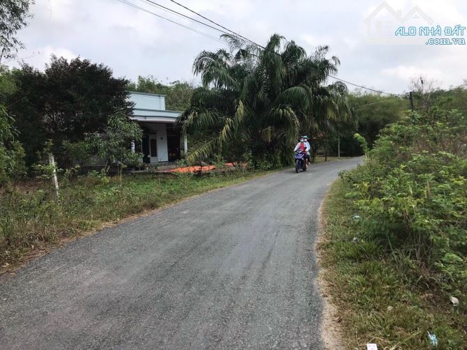 3239m2 đất giá rất rẻ, MT Đ.Nguyễn Thị Náo, xã Trung Lập Thượng, QH đất ở toàn bộ, 5.5 tỷ - 2