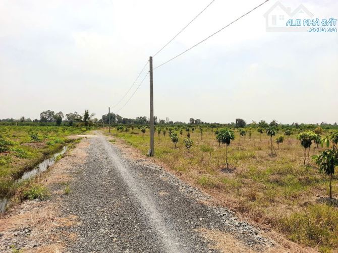 Hàng thơm, 1000m2 đất vườn view kênh cự đẹp , 750tr - 2