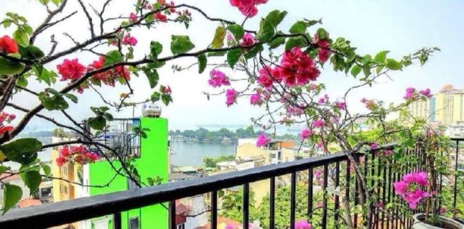 Siêu Phẩm Tây Hồ/265 tỷ/212 m2/15 Tầng/7 Mt/Mặt Phố/ Nguyễn Khắc Hiếu - 2