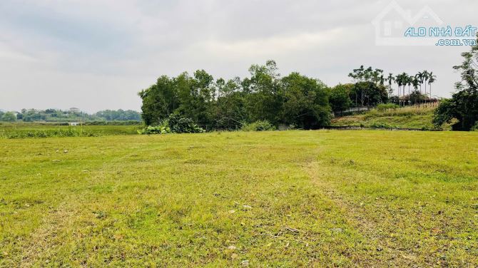 **🔥 CƠ HỘI CÓ 1-0-2! 3.023,7M² (200M² THỔ CƯ) – VIEW TRIỆU ĐÔ, CÓ AO – SỔ SẴN, CHỐT NGAY - 2