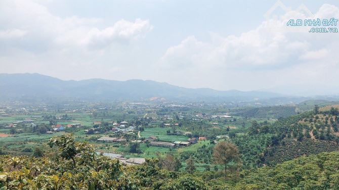 2.1 sào Bảo Lộc 50m mặt đường View đẹp - 1