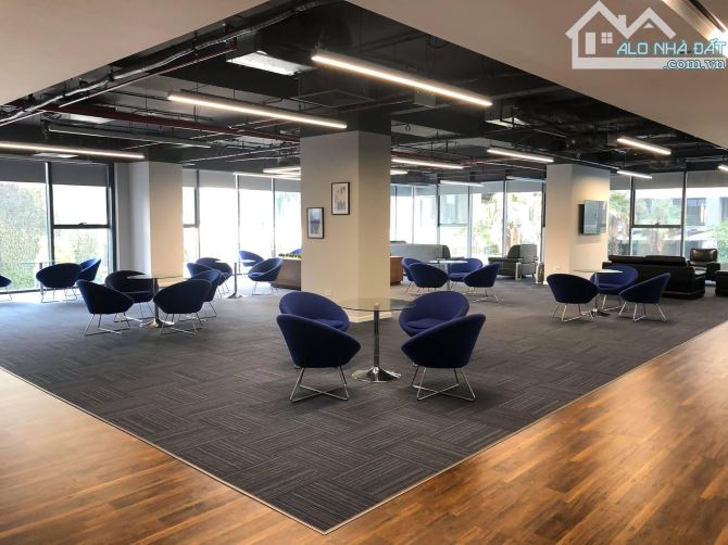 BQL cho thuê văn phòng Hapulico Nguyễn Huy Tưởng, DT 100m2, 200m2, 300m2 giá chỉ từ 240k/m - 3