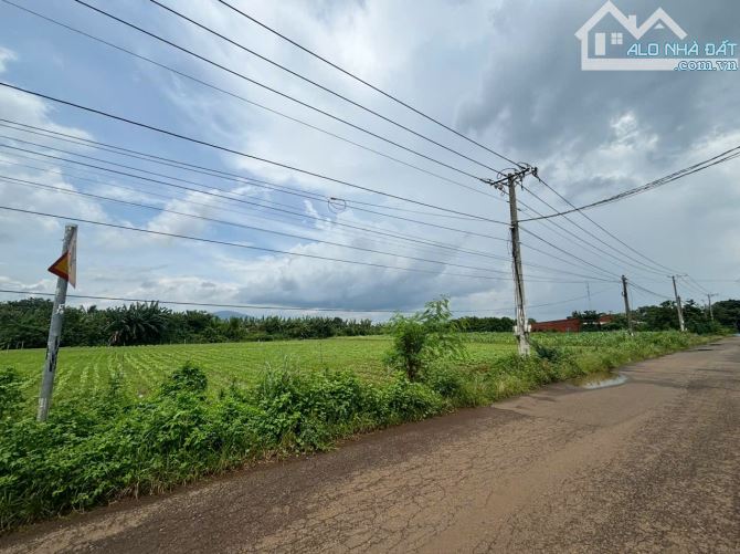 Cần bán 1,5 sào đất mặt đường chính tại Xuân Bảo, Cẩm Mỹ - 3