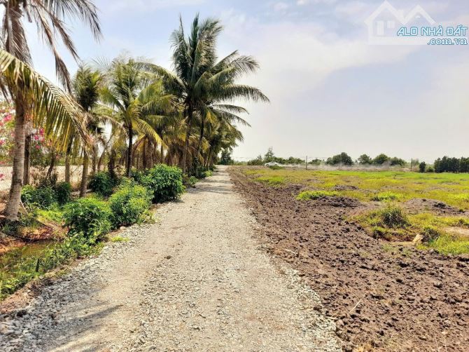 Hàng thơm, 1000m2 đất vườn view kênh cự đẹp , 750tr - 3