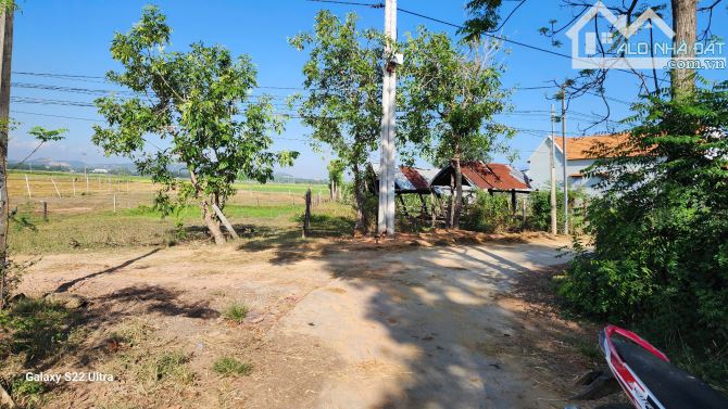 Đất rẻ Ninh thọ , Ninh Hòa chỉ 2trieu/m2, đường ô tô tải, gần dân, cách biển 4km, sổ hồng - 3