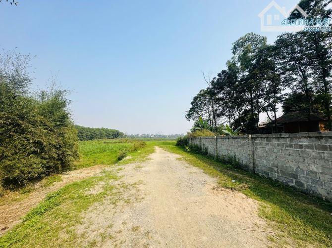**🔥 CƠ HỘI CÓ 1-0-2! 3.023,7M² (200M² THỔ CƯ) – VIEW TRIỆU ĐÔ, CÓ AO – SỔ SẴN, CHỐT NGAY - 3