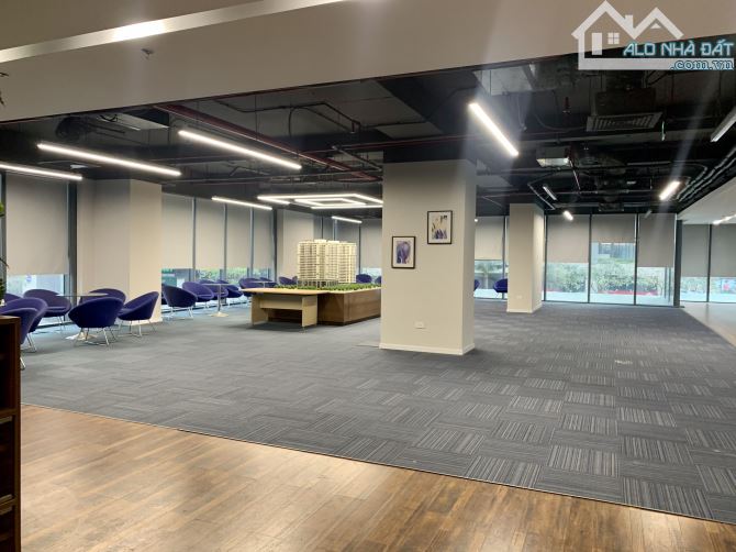 BQL cho thuê văn phòng Hapulico Nguyễn Huy Tưởng, DT 100m2, 200m2, 300m2 giá chỉ từ 240k/m - 4