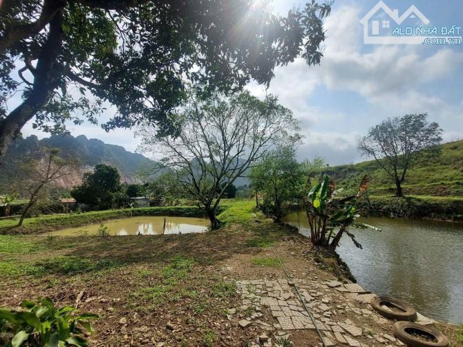 BÁN 14.500M BIỆT THỰ VƯỜN NGHỈ DƯỠNG  CẠNH ĐƯỜNG VÀNH ĐAI 5 & KHU NGHỈ DƯỠNG LỚN NHẤT L - 4