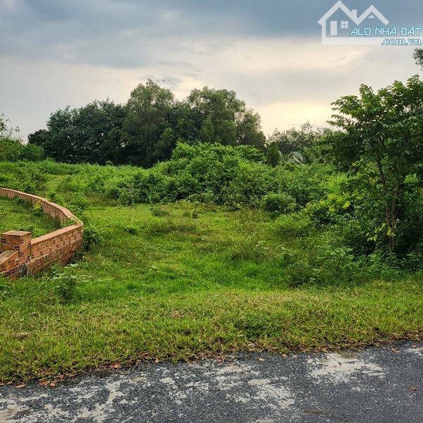 3239m2 đất giá rất rẻ, MT Đ.Nguyễn Thị Náo, xã Trung Lập Thượng, QH đất ở toàn bộ, 5.5 tỷ - 4