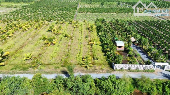 Hàng thơm, 1000m2 đất vườn view kênh cự đẹp , 750tr - 4
