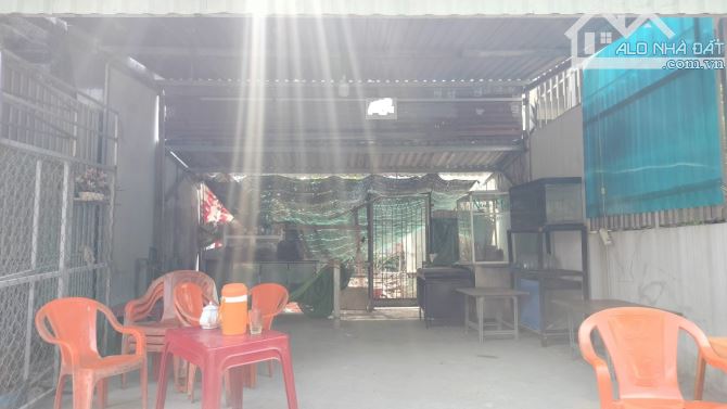 ĐẤT MTKD Đ.VƯỜN LÀI, P.AN PHÚ ĐÔNG/Q12, HẺM 8M, SÁT MẶT TIỀN, 125M2, CÔNG NHẬN ĐỦ, CHỈ 8TỶ - 4