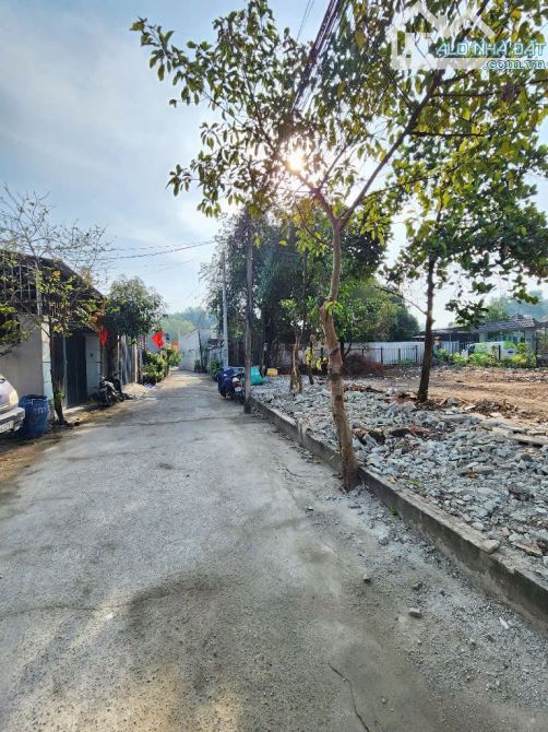 đất 95m2 2ty5 TL, Xây Tự Do gần bờ hồ Biconsi 200m, p.Tân Bình, Tp. Dĩ An - 4