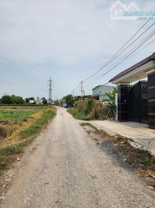 2 lô đất mới tách 182,5m2 2ty950 TL  16tr/m2, MT đường nhà 5 em, p.Tân Bình - 4