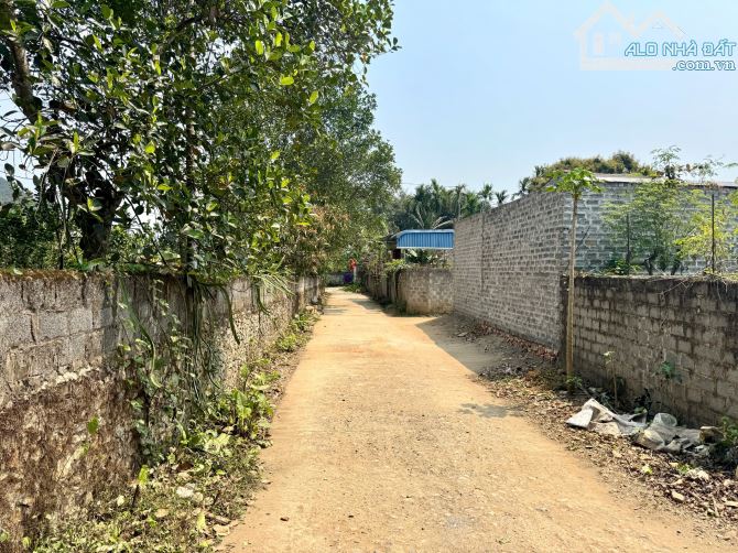 160m Full Đất Ở _ Khu Đô Thị Bãi Chạo - Vuông Vắn Đẹp - 4