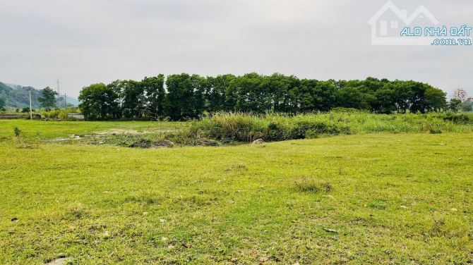 **🔥 CƠ HỘI CÓ 1-0-2! 3.023,7M² (200M² THỔ CƯ) – VIEW TRIỆU ĐÔ, CÓ AO – SỔ SẴN, CHỐT NGAY - 4