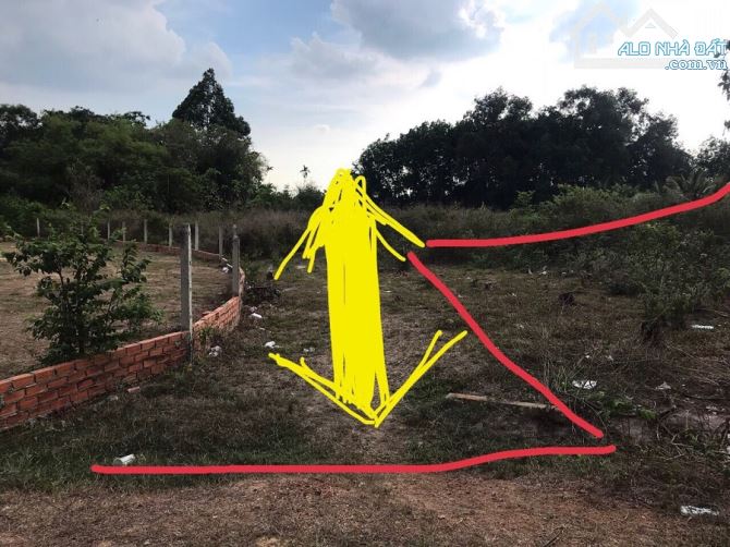 3239m2 đất giá rất rẻ, MT Đ.Nguyễn Thị Náo, xã Trung Lập Thượng, QH đất ở toàn bộ, 5.5 tỷ - 5