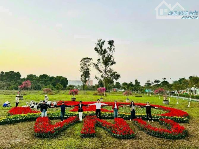 Lô đất siêu phẩm mặt tiền rộng tiếp giáp Đại học Quốc Gia Hà Nội và ga đường sắt Metro 05 - 6