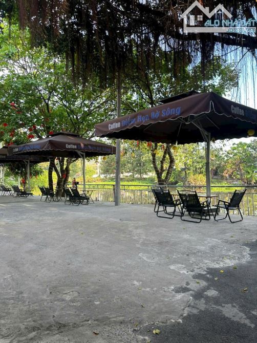 Bán đất mặt tiền sông Vàm Thuật , Quận 12 - Cách đường Hà Huy Giáp 100m dt 4x25m