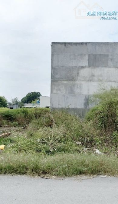 CÓ DUY NHẤT TẠI THỊ TRẤN ĐỨC HOÀ GIÁ 1 tỷ 250 triệu  CHO LÔ ĐẤT 125M2,SHR - 2