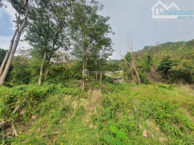 🌊 BÁN ĐẤT BIỆT THỰ ĐỒI SỨ VIEW TRỰC DIỆN BIỂN BÃI TRƯỚC – TRẦN PHÚ, PHƯỜNG 1 VŨNG TÀU