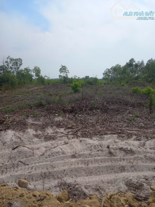4000m2 đất Đẹp bằng phẳng có 100m mặt tiền đường đất 5m, cách Lý Thường Kiệt 1,1 km