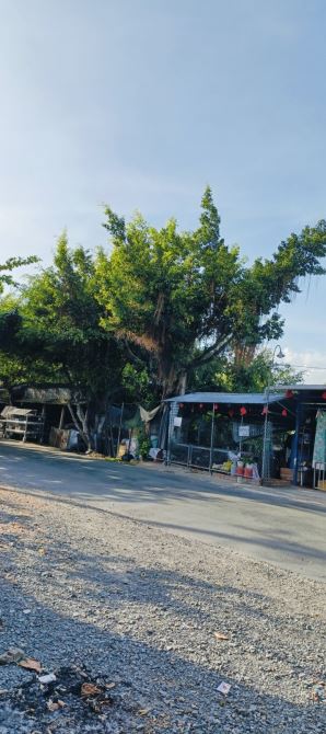 Bán nhà xưởng Tiền Giang, Tỉnh Lộ 865, 2515m2, 2 mặt tiền sông & Tỉnh Lộ nhỉnh 14 tỷ