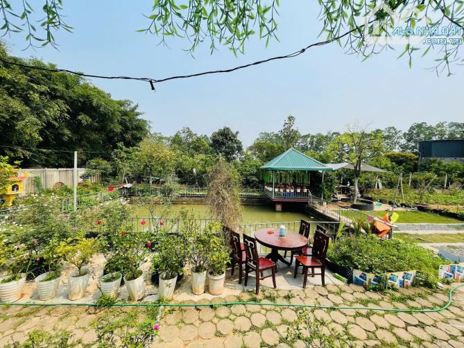 🔥 SIÊU HOT – BÁN 1.100M² ĐẤT ĐÔNG ANH, GIÁ CHỈ 3.15 TỶ! 🔥 - 5