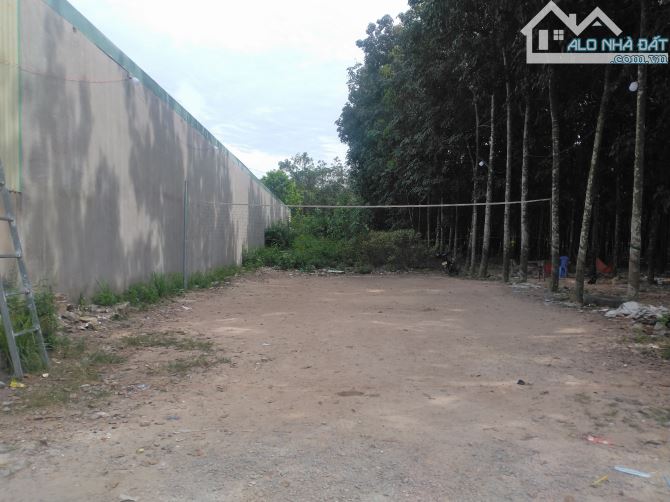 Bán đất phường hội nghĩa thành phố tân uyên, 420m2, 7x60 - 4