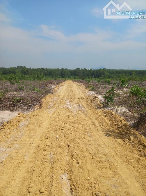 4000m2 đất Đẹp bằng phẳng có 100m mặt tiền đường đất 5m, cách Lý Thường Kiệt 1,1 km - 1