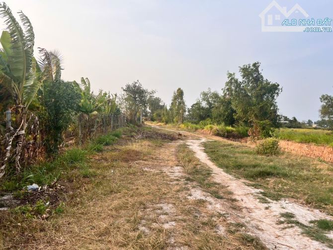 Đất 2MT Quốc Lộ 53 Thích Hợp Làm Kho Xưởng Cty - 1