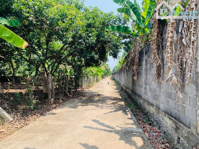 BÁN GẦN 3 SÀO HƯNG LỘC CÓ 300M2 THỔ CƯ CHỈ 6,8 TỶ - 1