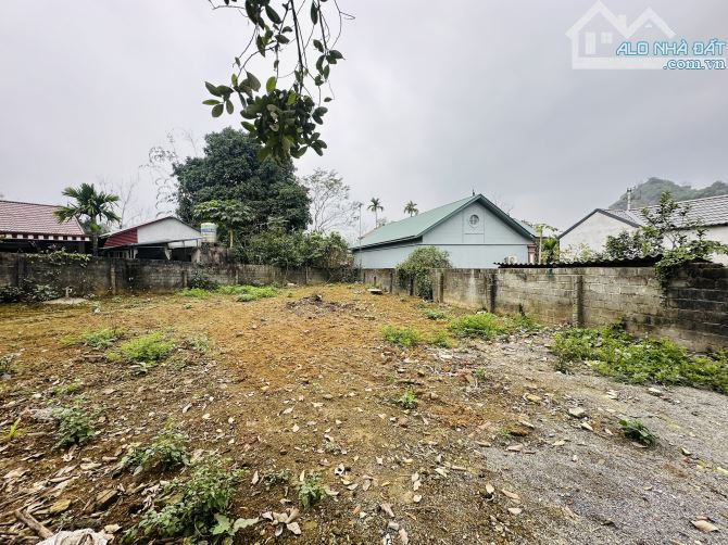 🔥 LÔ ĐẤT ĐẸP CAO DƯƠNG – 426M² (100M² THỔ CƯ) – LÀN 2 ĐƯỜNG HỒ CHÍ MINH – GIÁ HƠN 2 TỶ! - 1