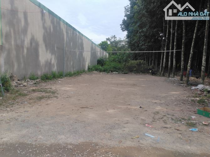 Bán đất phường hội nghĩa thành phố tân uyên, 420m2, 7x60 - 5