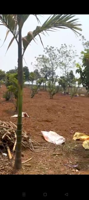 Bán 6.466,3m2 đất, mt 55m  làm nhà xưởng, nhà vườn, nghỉ dưỡng thôn 2 Ba Trại giá 805 nghì - 2