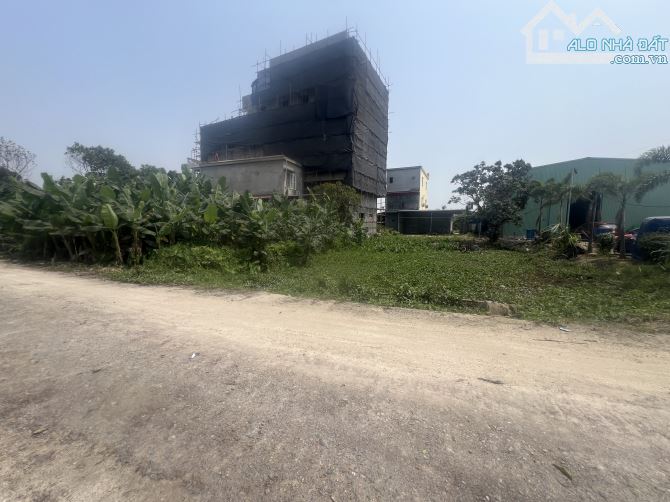 Chính chủ gửi bán 135m đất thổ 427m đất 03 xe kẹt quận an dương - 1