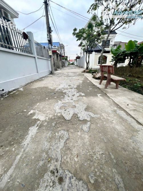 Bán đất Cẩm Hoàn - Thanh Sơn - Kiến Thụy - Hải Phòng - 2