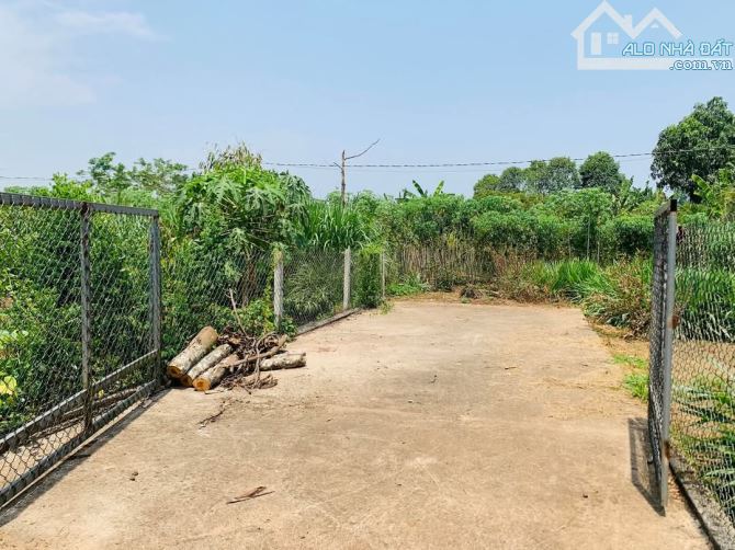 BÁN GẦN 3 SÀO HƯNG LỘC CÓ 300M2 THỔ CƯ CHỈ 6,8 TỶ - 2