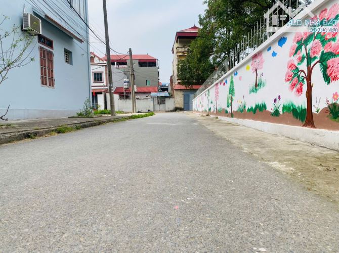 Bán đất đẹp 60.8m full thổ cư ô tô ngủ trong đất tại Hương ĐÌnh, Mai Đình - 2
