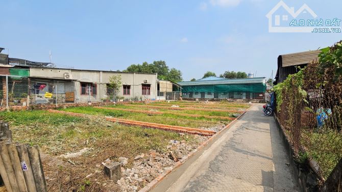 1,6 Tỷ TL🔥Bán 2 lô đất 74,1m2_Cách đường Bình Nhâm 40 chỉ 50m, p.Bình Nhâm, Tp.Thuận An - 2