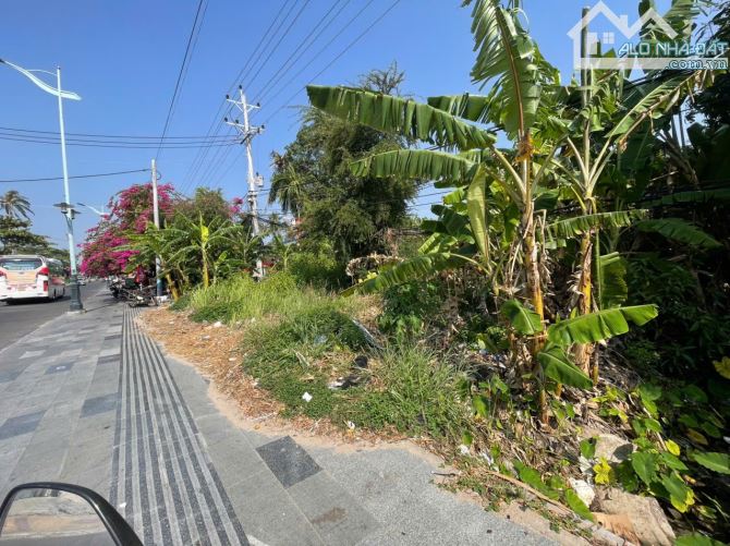 Bán lô 1234m2 mặt tiền nguyễn đình chiểu view biển chỉ 16tr/m2 - 3