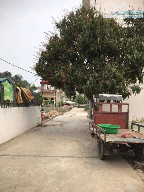 BÁN SIÊU PHẨM ĐẤT TỔ 10 TT QUANG MINH - MÊ LINH - HÀ NỘI ✅DIỆN TÍCH 62m  ✅ĐẤT HAI MẶT ĐƯỜN - 3