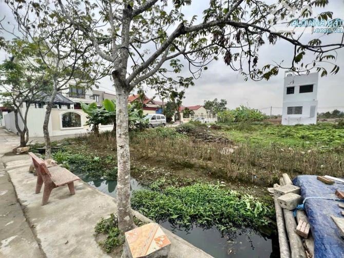 Bán đất Cẩm Hoàn - Thanh Sơn - Kiến Thụy - Hải Phòng - 3