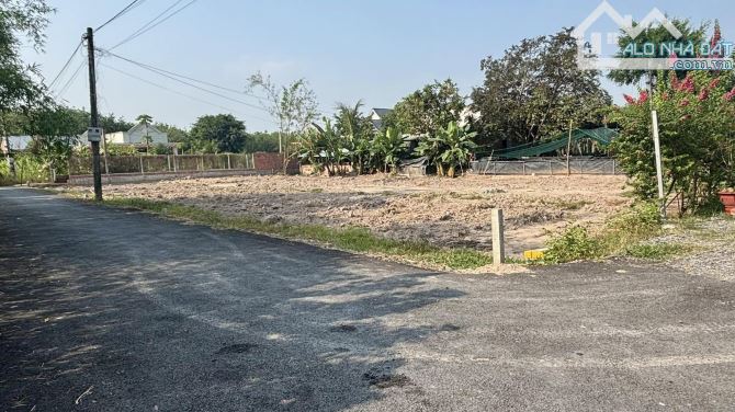 chính chủ bán 20m ngang mặt tiền đường hương lộ 2 giao tỉnh lộ 7 sổ hồng - 3