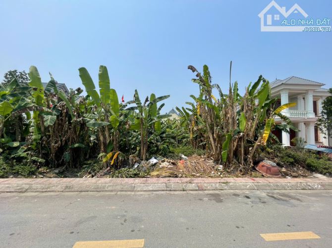 Bán 103m2 mặt trục Hy Tái,Hồng Thái,An Dương - 3