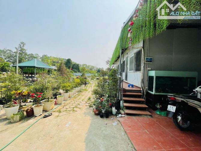 🔥 SIÊU HOT – BÁN 1.100M² ĐẤT ĐÔNG ANH, GIÁ CHỈ 3.15 TỶ! 🔥 - 1