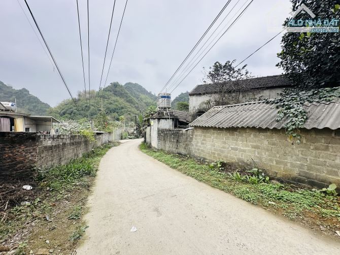 🔥 LÔ ĐẤT ĐẸP CAO DƯƠNG – 426M² (100M² THỔ CƯ) – LÀN 2 ĐƯỜNG HỒ CHÍ MINH – GIÁ HƠN 2 TỶ! - 3