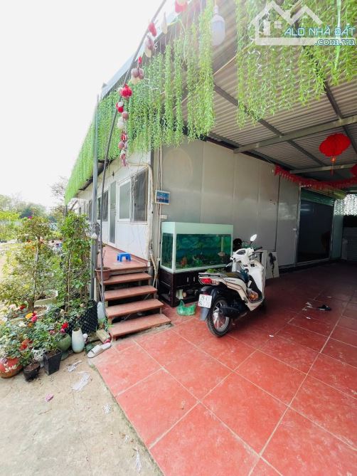 🔥 SIÊU HOT – BÁN 1.100M² ĐẤT ĐÔNG ANH, GIÁ CHỈ 3.15 TỶ! 🔥 - 2