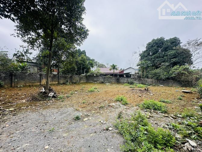 🔥 LÔ ĐẤT ĐẸP CAO DƯƠNG – 426M² (100M² THỔ CƯ) – LÀN 2 ĐƯỜNG HỒ CHÍ MINH – GIÁ HƠN 2 TỶ! - 4